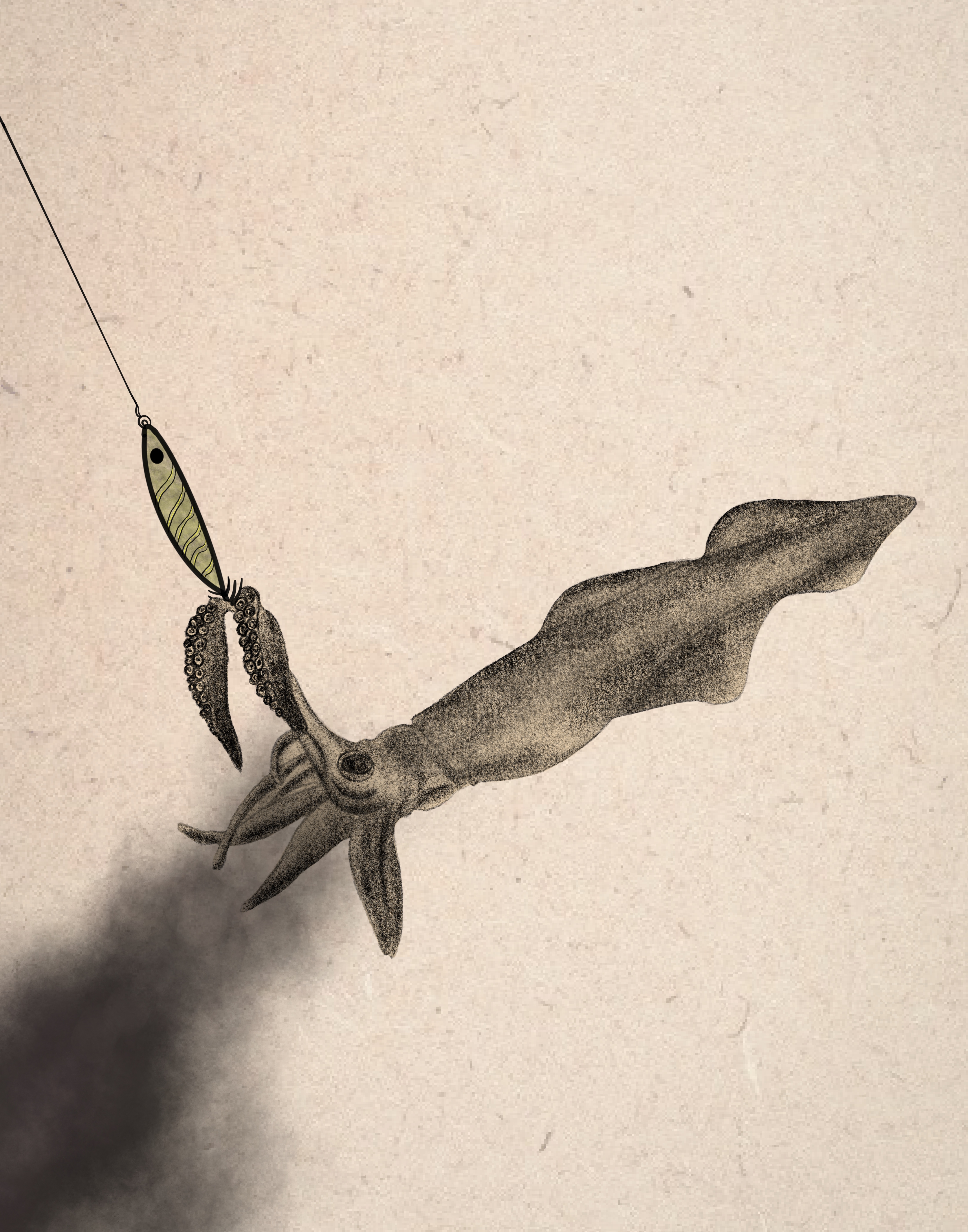 Fauna marina